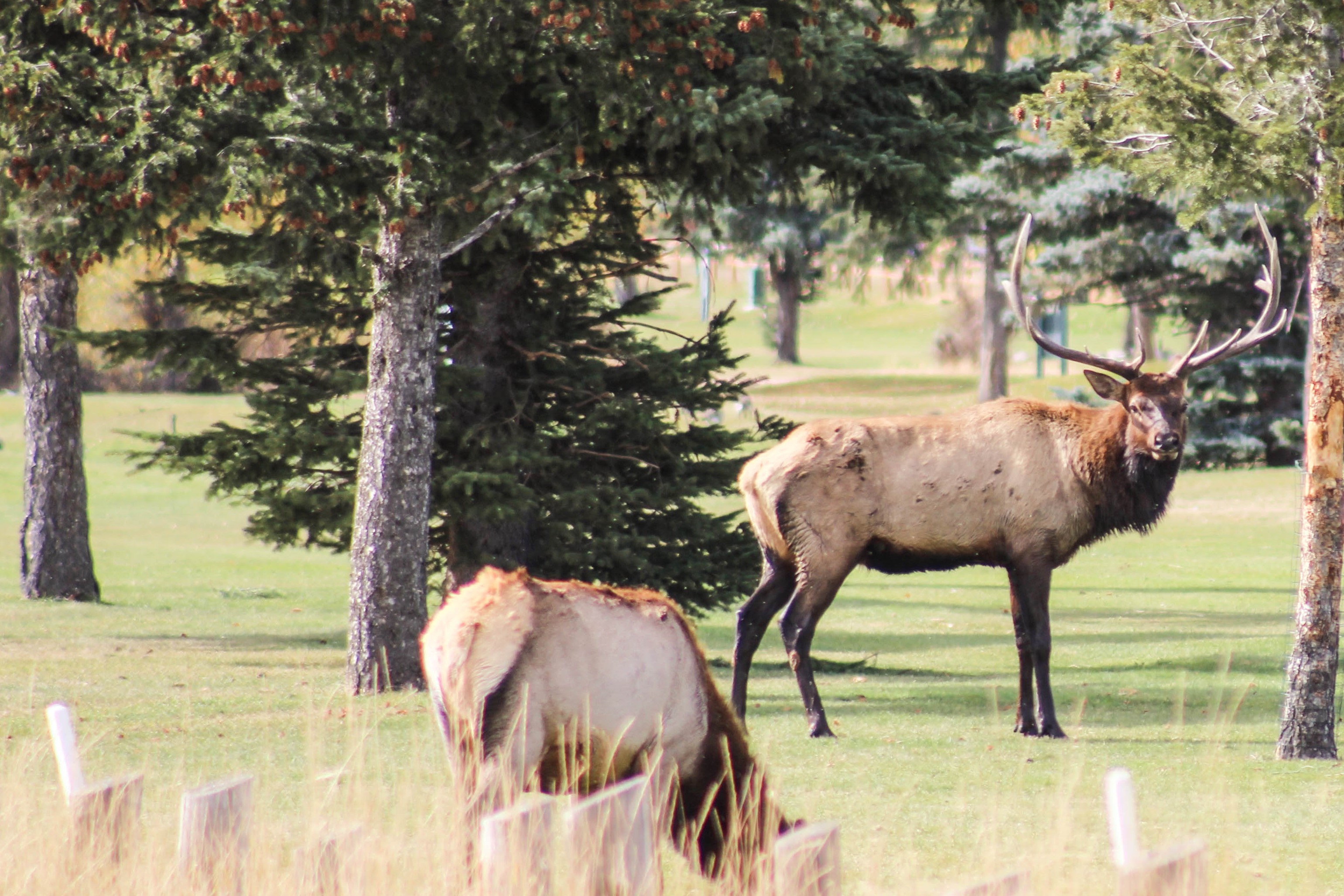 Where’d We Go: Rocky Mountains, Colorado – Part 3