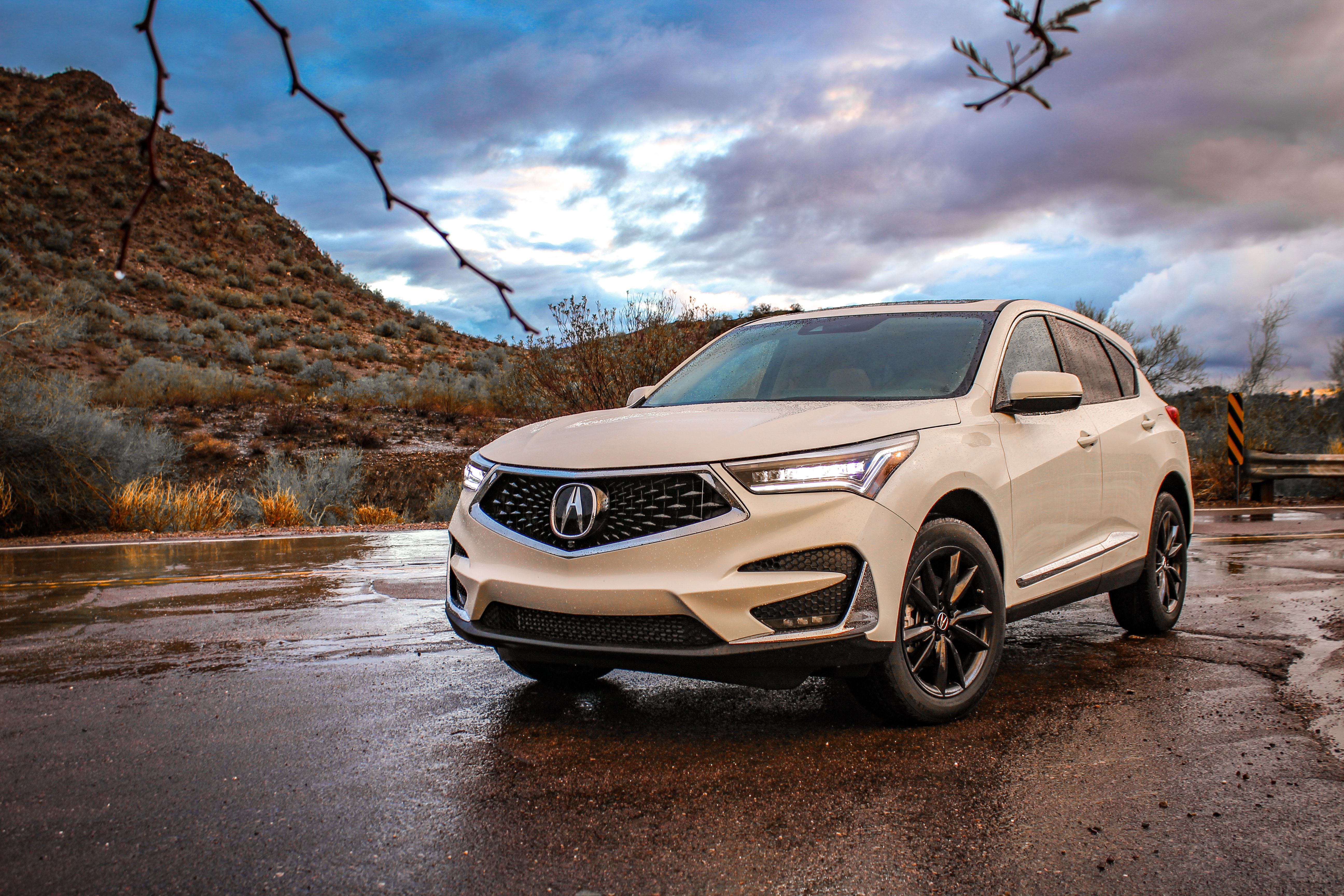Crème of the Crop: 2019 Acura RDX Advance