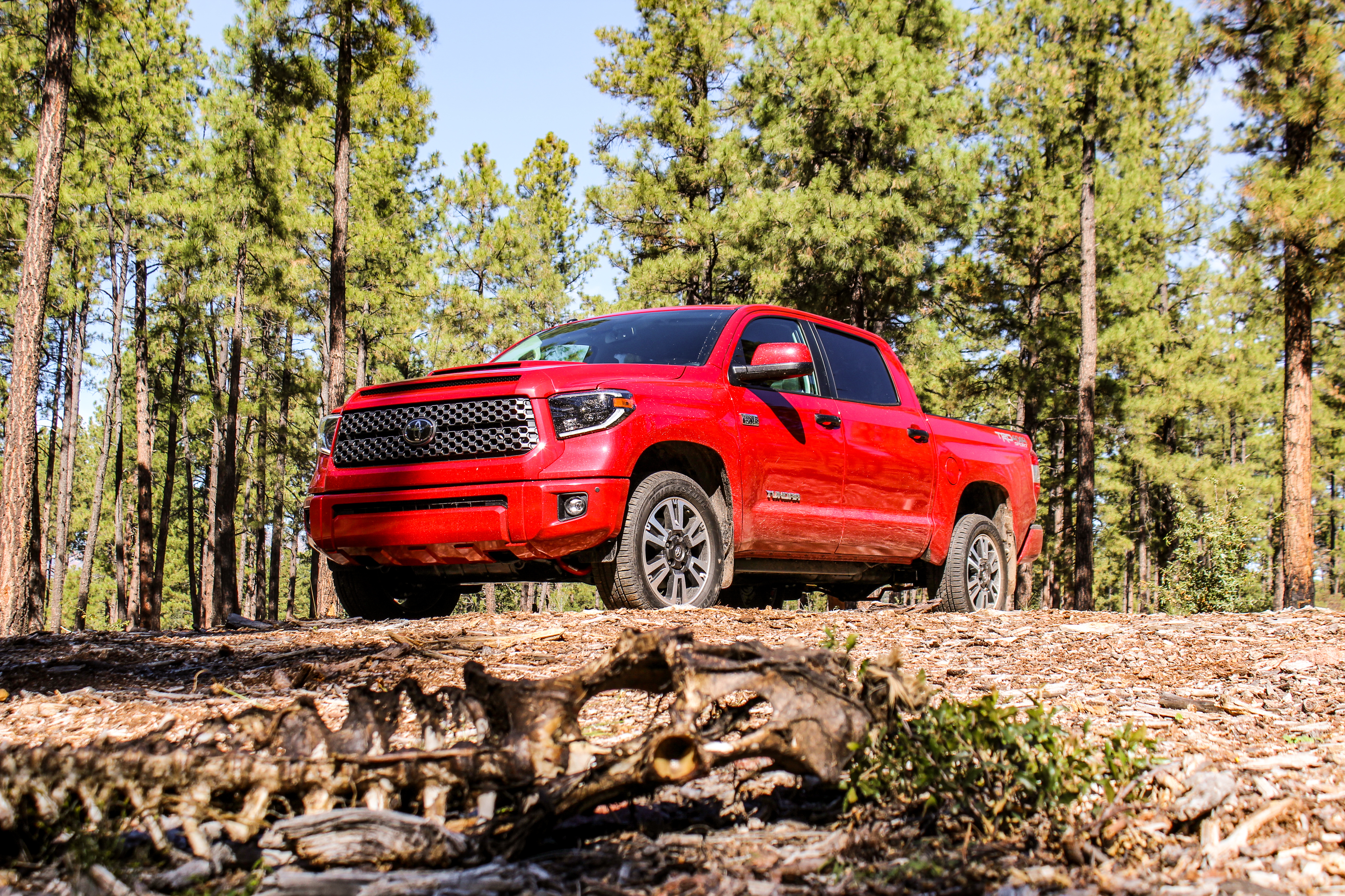 Back Woods Camper & Four Wheeler: 2019 Toyota Tundra SR5 TRD Sport Off-Road