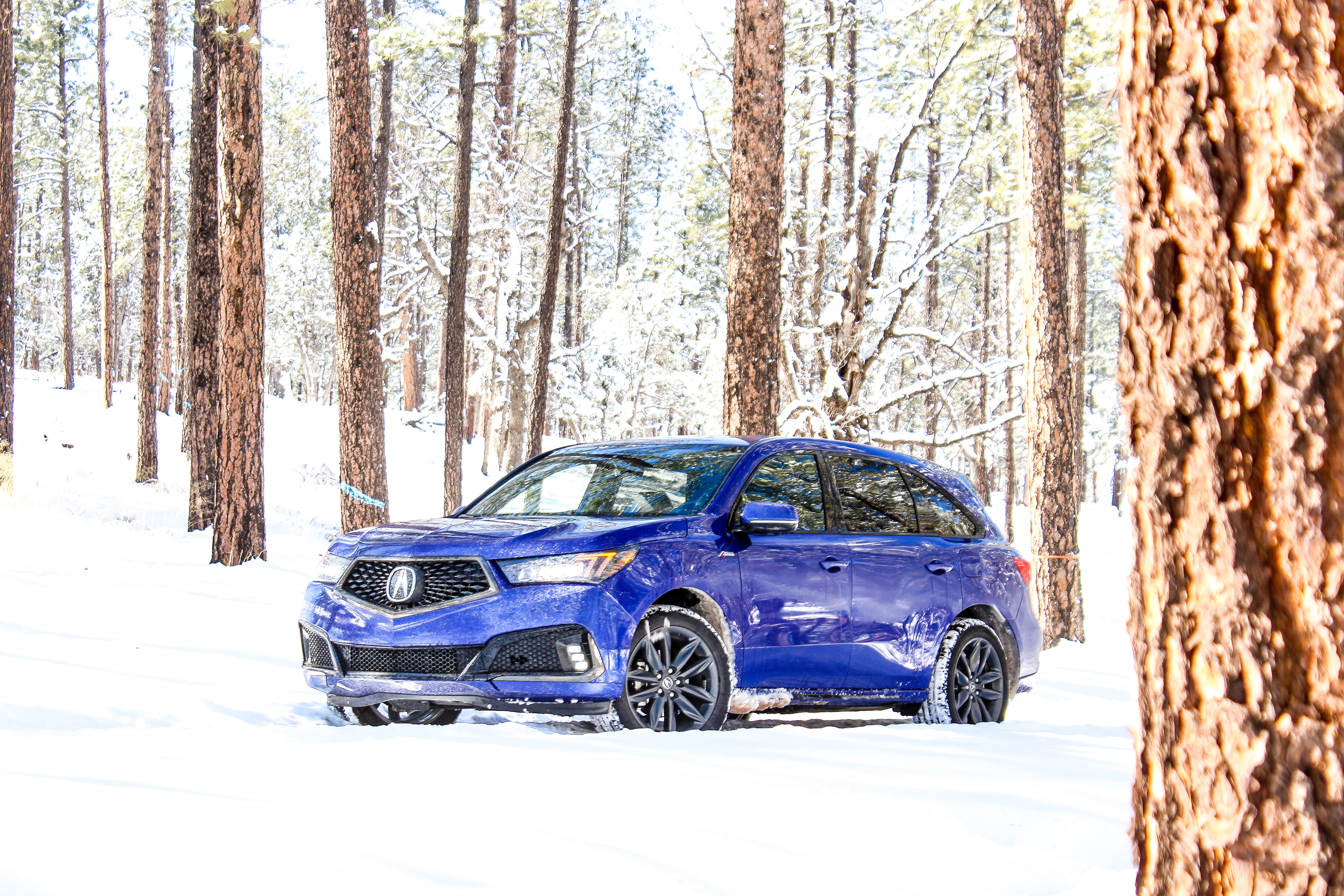 Snow Problem, No Problem: 2019 Acura MDX A SPEC