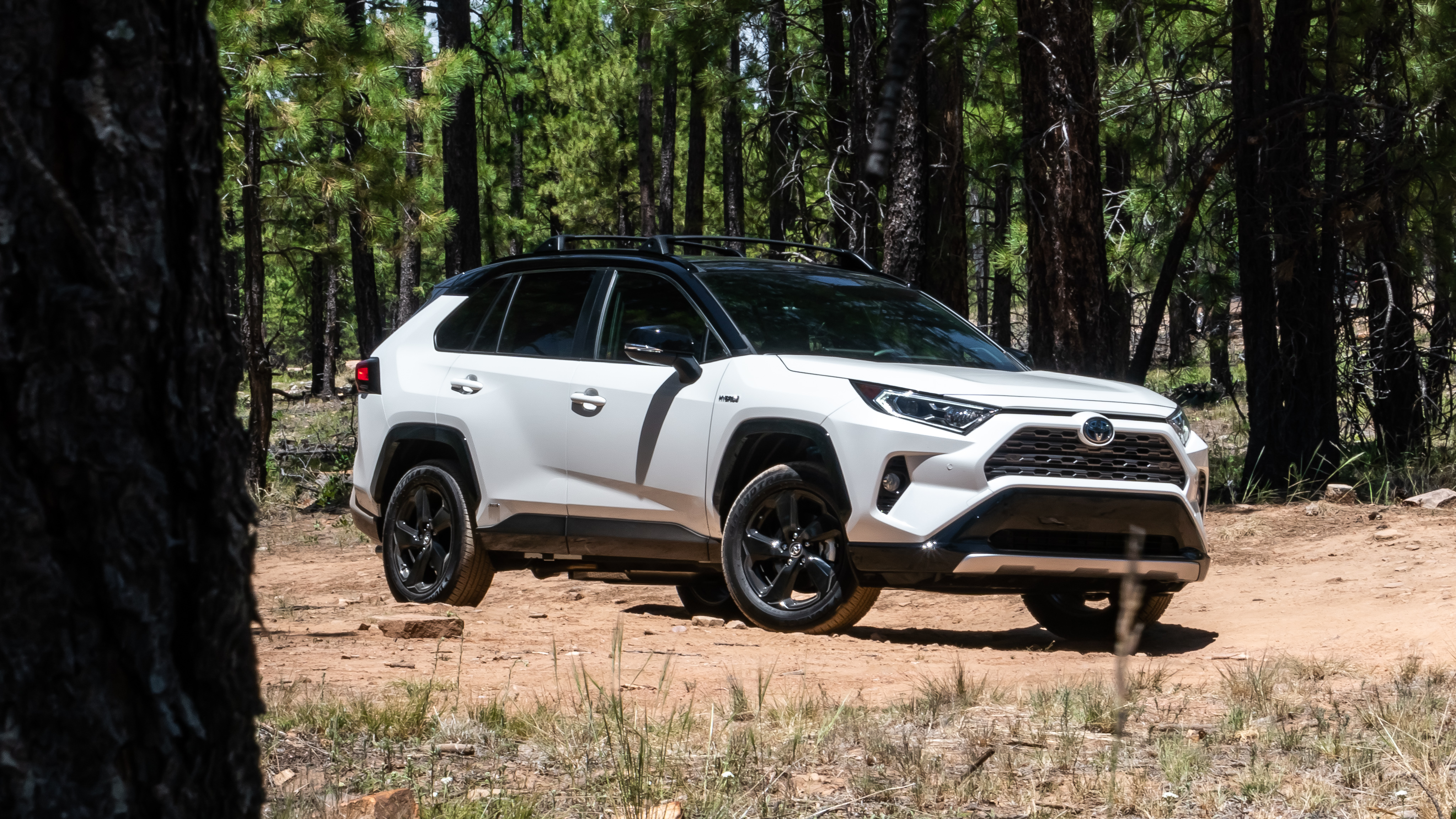 THIS GO, GO GADGET SEES 45-MPG’s: 2019 TOYOTA RAV4 XSE HYBRID