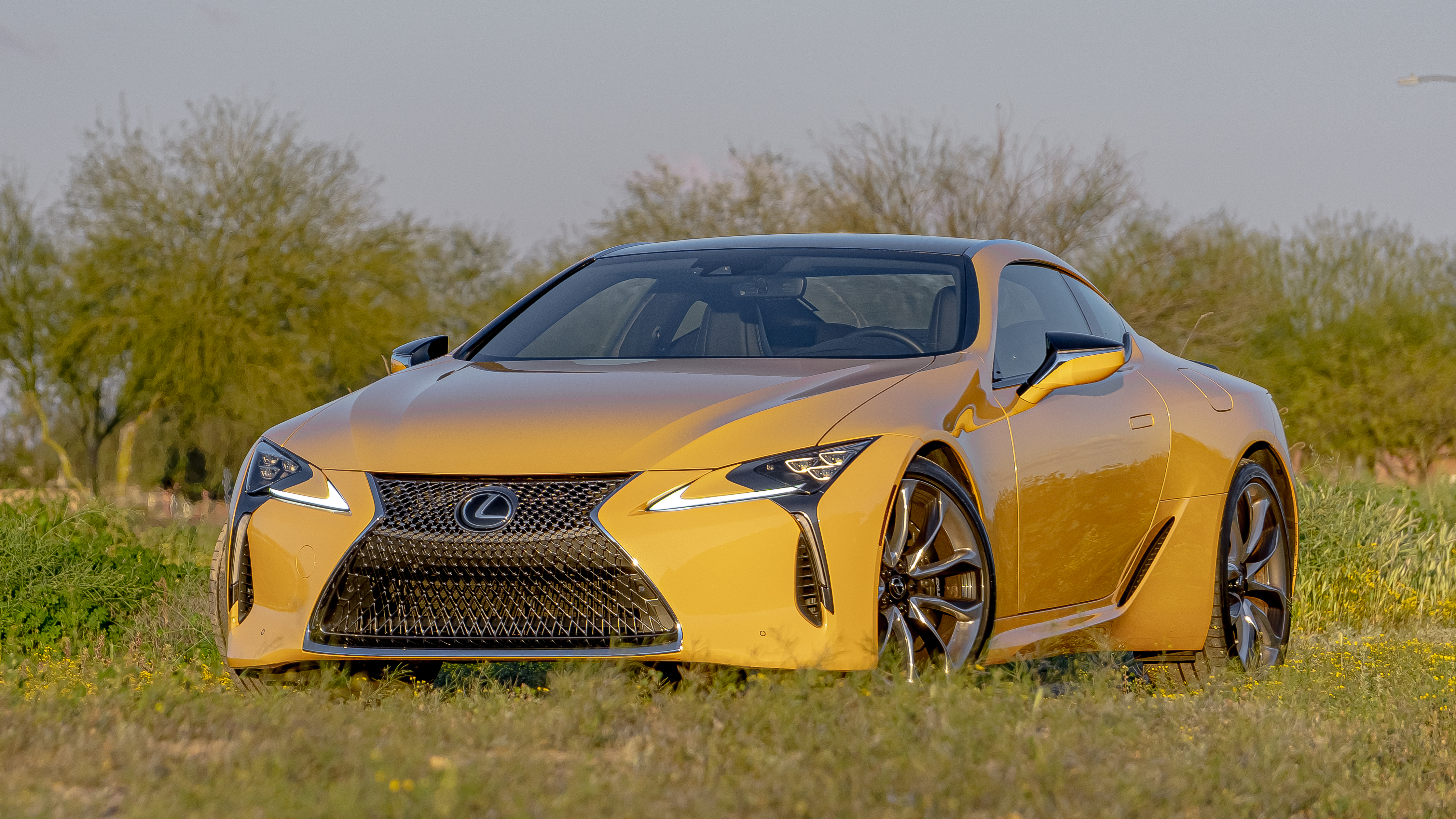 SKITTLES SHOT: 2020 LEXUS LC 500