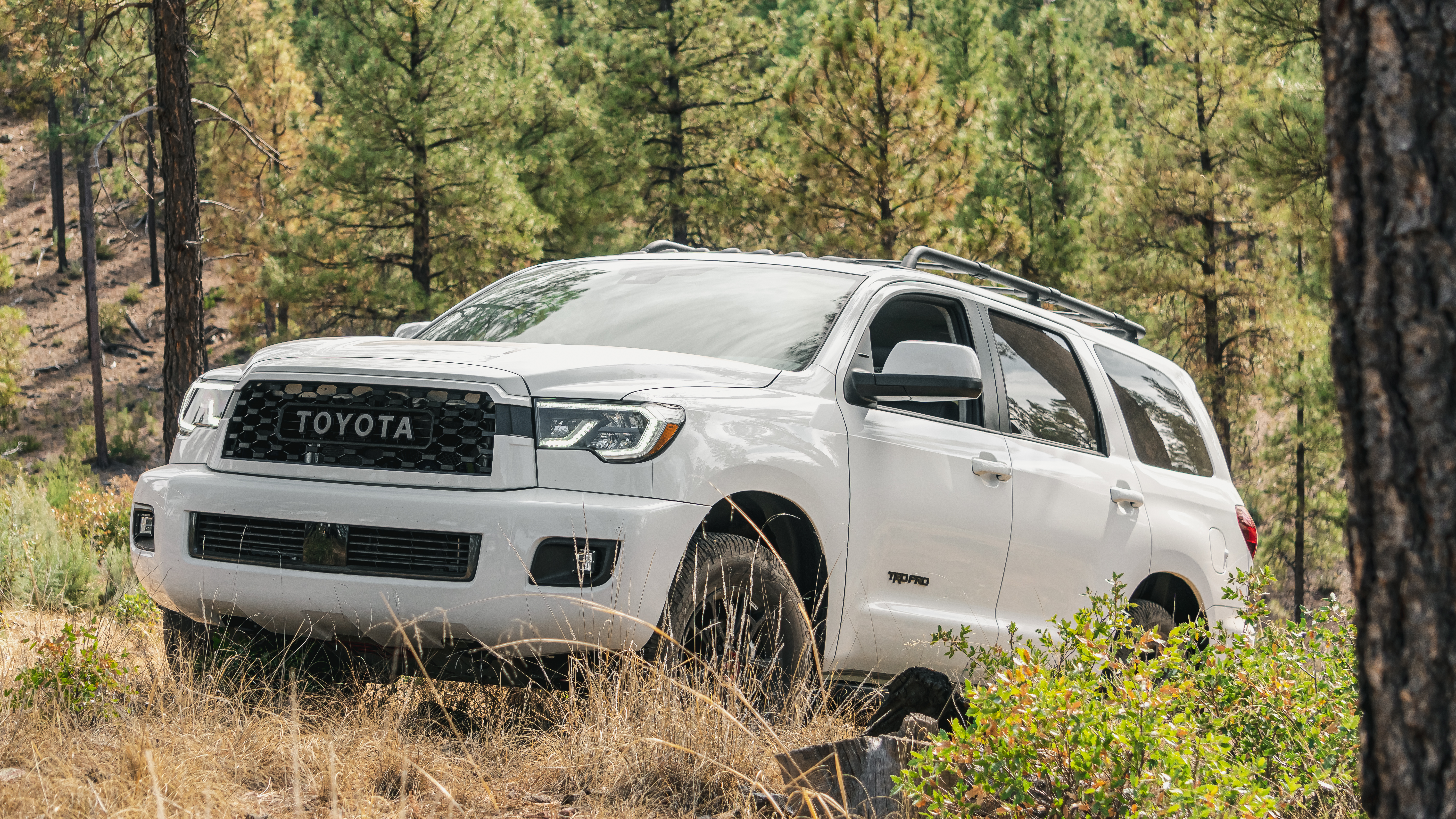 ANOTHER SPECIAL EDITION ADDS OFF-ROAD CHOPS: 2020 TOYOTA SEQUOIA TRD PRO