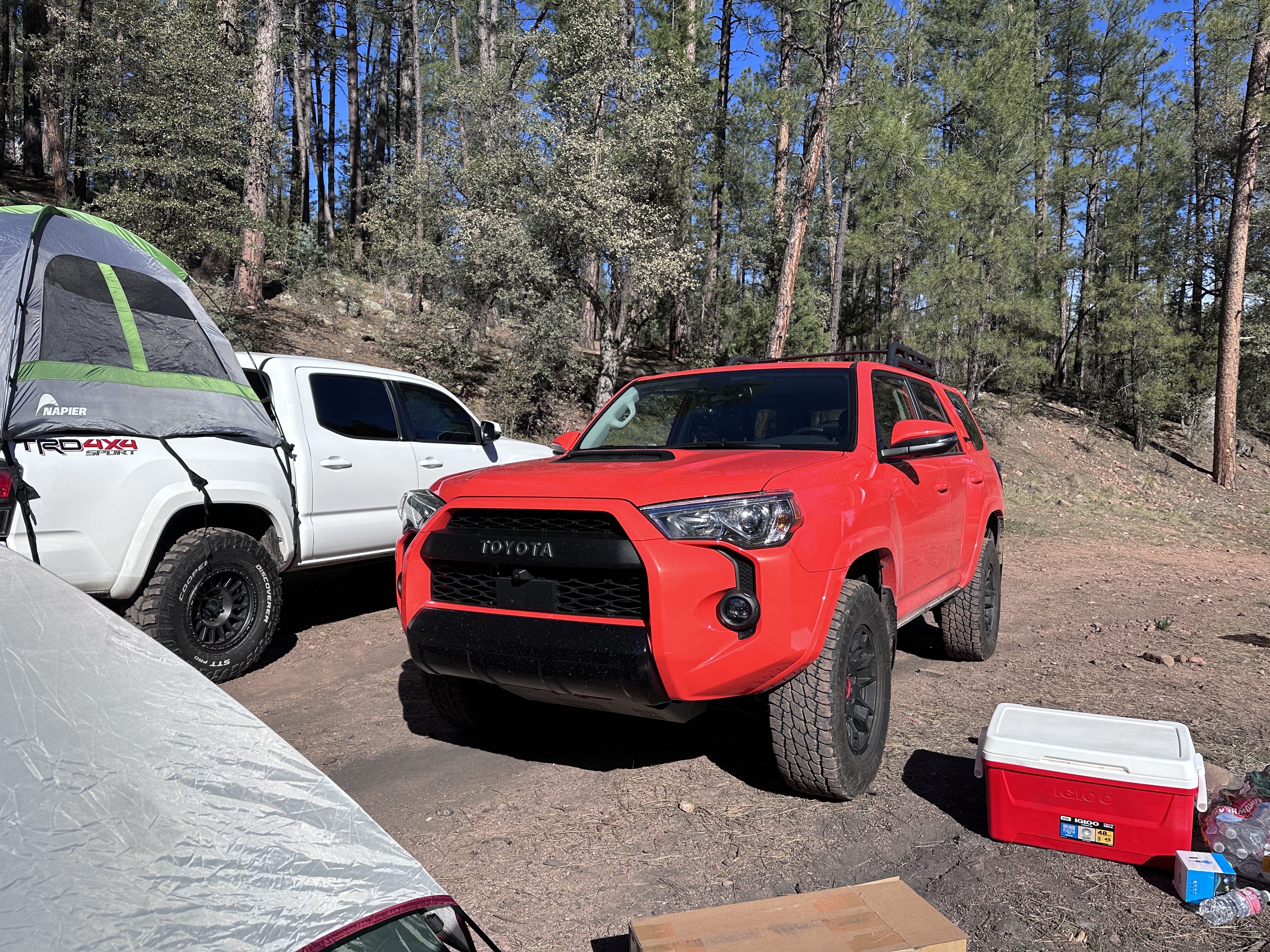 TOXIC BARB: 2023 TOYOTA 4RUNNER
