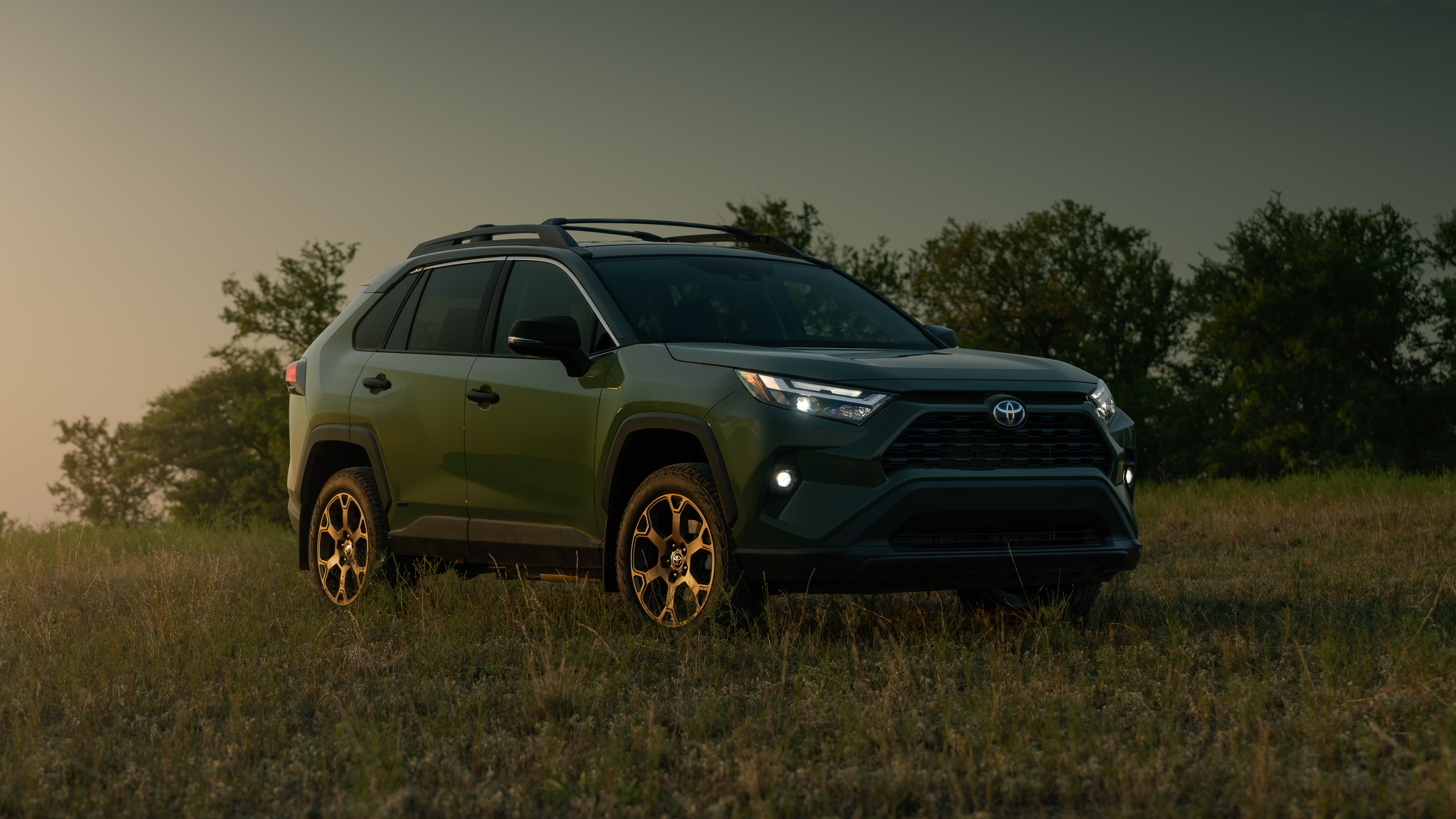 HYBRIDS GONE WILD, CELEBRATING OUR 500th REVIEW: 2024 TOYOTA RAV4 HYBRID WOODLANDS EDITION